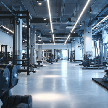 Krafttraining: Splits und Trainingspläne für Anfänger und Fortgeschrittene